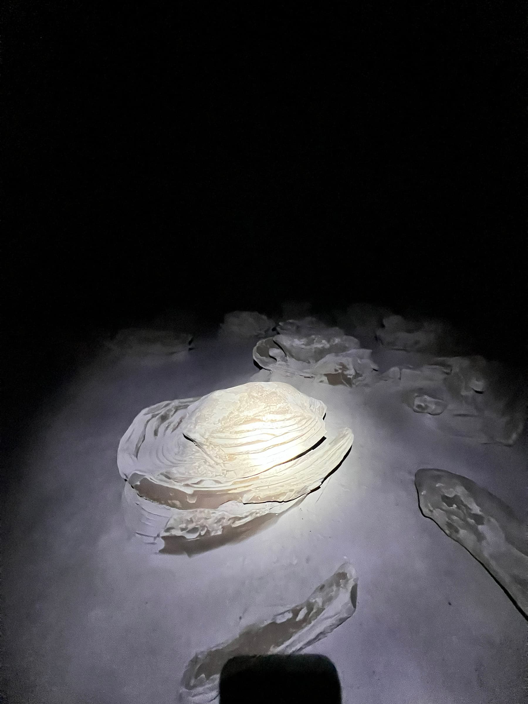 Cracked Eggs low light scene in Bisti