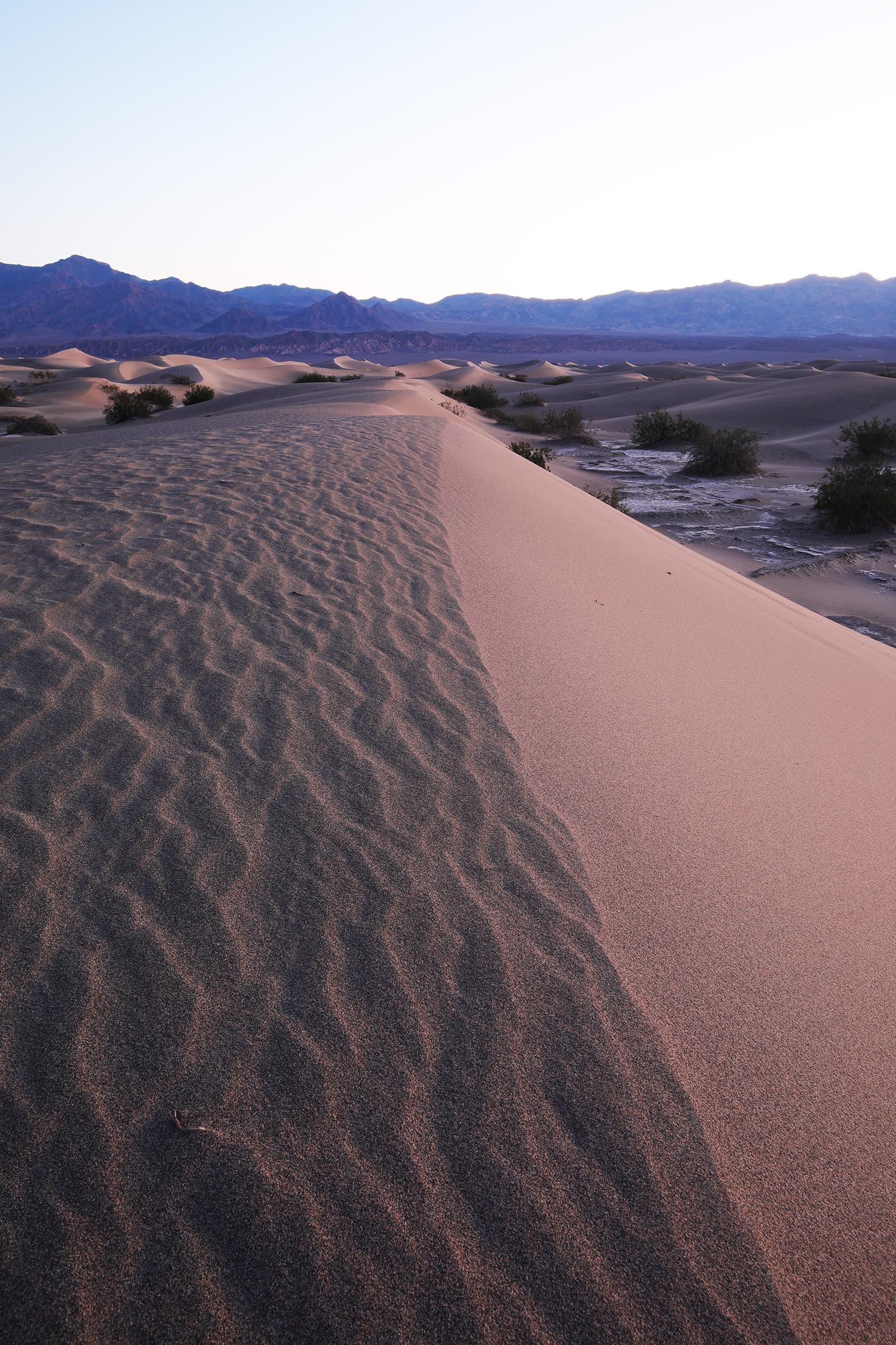 Vertical composition in Mesquite Sand Dunes