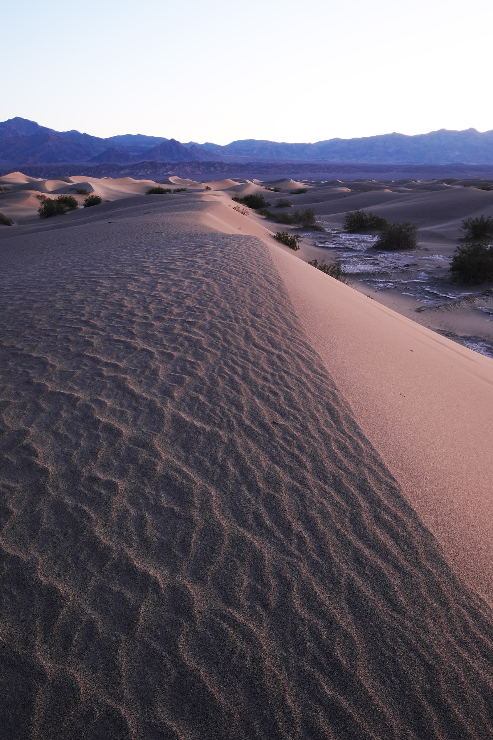 Vertical Mesquite Sand Dunes night composition