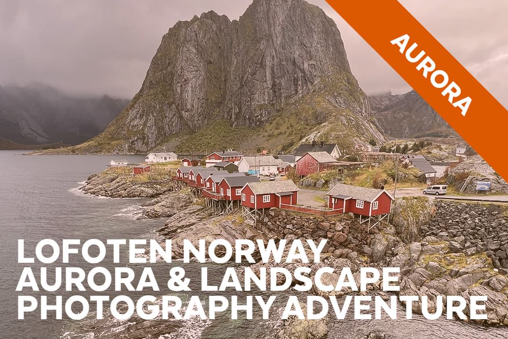 Lofoten winter coastline and village scene