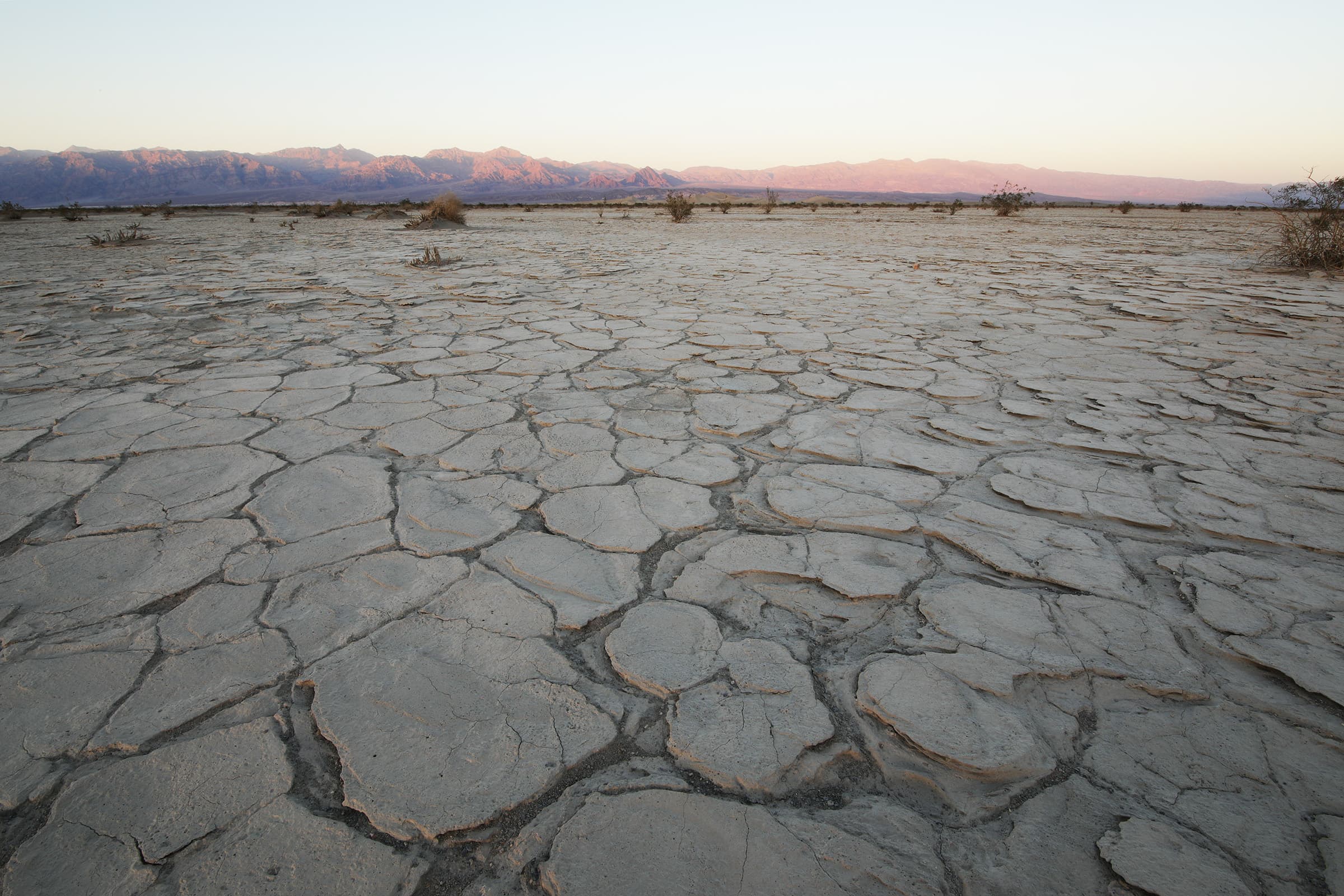 Cracked desert textures near Mesquite Sand Dunes